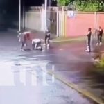 Se filtra video del momento en que joven asesina a su tía en San Marcos (VIDEO) Foto: Brutal crimen en San Marcos, Carazo / TN8