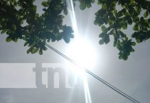 Foto: Canícula en Nicaragua / TN8