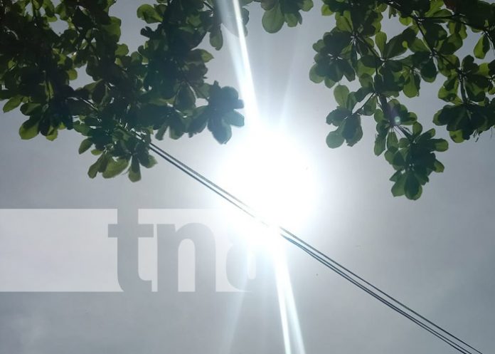 Foto: Canícula en Nicaragua / TN8 Foto: Canícula en Nicaragua / TN8