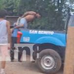 Delincuente es atrapado con las manos en la masa en Tipitapa Foto: Capturan a ladrón queriendo entrar a vivienda ubicada cerca de Las Canoas, en Tipitapa / TN8