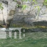 Hallan cuerpo de un hombre rodeado de zopilotes en la Laguna de Xiloá Foto: Hallan cuerpo de un hombre en la Laguna de Xiloá / TN8