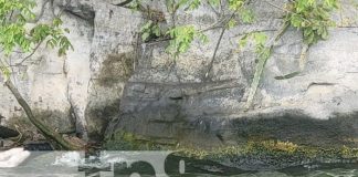 Foto: Hallan cuerpo de un hombre en la Laguna de Xiloá / TN8