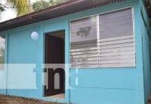 Sueños que se construyen: Familias de León reciben viviendas dignas Foto: Nuevas viviendas dignas en León / TN8