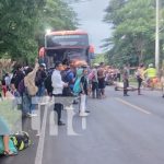 Tragedia bovina en Rivas: Accidente con bus deja seis vacas muertas Foto: Accidente de bus con unas vacas en Belén, Rivas / TN8