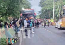 Tragedia bovina en Rivas: Accidente con bus deja seis vacas muertas Foto: Accidente de bus con unas vacas en Belén, Rivas / TN8
