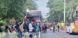 Foto: Accidente de bus con unas vacas en Belén, Rivas / TN8
