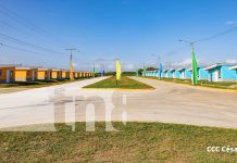 Managua estrena «Nuevas Victorias» con apoyo de China: 920 viviendas en Sabana Grande Foto: Entrega de viviendas Nuevas Victorias en Managua, con apoyo de la República Popular China / TN8
