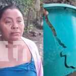 Toros enfurecidos casi matan a una mujer mientras lavaba ropa en Ometepe Foto: Toros casi provocan una desgracia en Ometepe /TN8