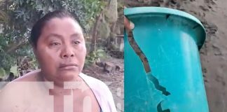 Foto: Toros casi provocan una desgracia en Ometepe /TN8