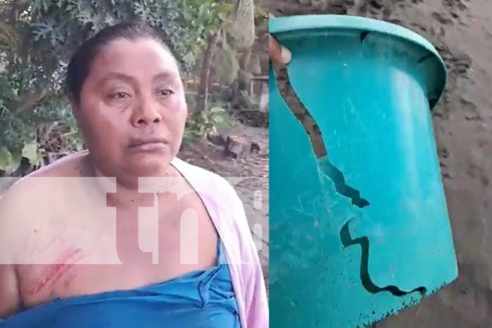 Foto: Toros casi provocan una desgracia en Ometepe /TN8 Foto: Toros casi provocan una desgracia en Ometepe /TN8