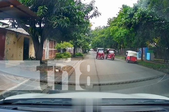 Foto: Protagonizan peligrosa carrera en Villa Libertad /TN8 Foto: Protagonizan peligrosa carrera en Villa Libertad /TN8