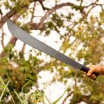 Una adolescente asesina a un joven y junto a su novio lo lanza a una letrina en Siuna Foto: Acusación por brutal crimen en Siuna, Caribe Norte de Nicaragua / TN8