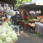 Mercados de Nicaragua se llenan de sabor y color con frutas de temporada Foto: Precios de frutas y otros productos de la canasta básica de Nicaragua / TN8