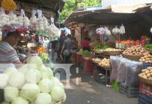Foto: Precios de frutas y otros productos de la canasta básica de Nicaragua / TN8