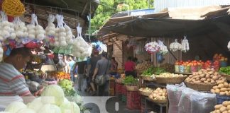 Foto: Precios de frutas y otros productos de la canasta básica de Nicaragua / TN8