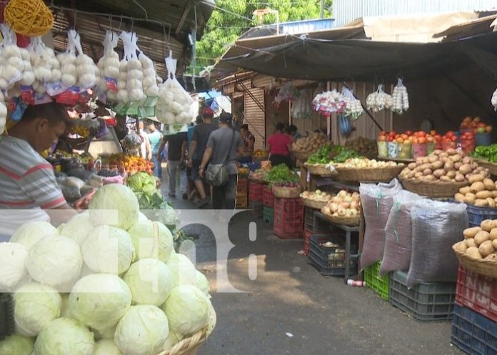 Foto: Precios de frutas y otros productos de la canasta básica de Nicaragua / TN8 Foto: Precios de frutas y otros productos de la canasta básica de Nicaragua / TN8