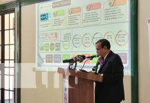 Foto: Encuesta M&R Consultores sobre percepción de paz en Nicaragua / TN8