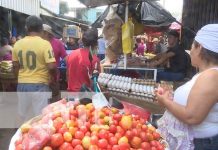 Foto: Productos de la canasta básica en Managua, Nicaragua / TN8