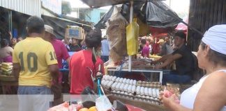 Foto: Productos de la canasta básica en Managua, Nicaragua / TN8