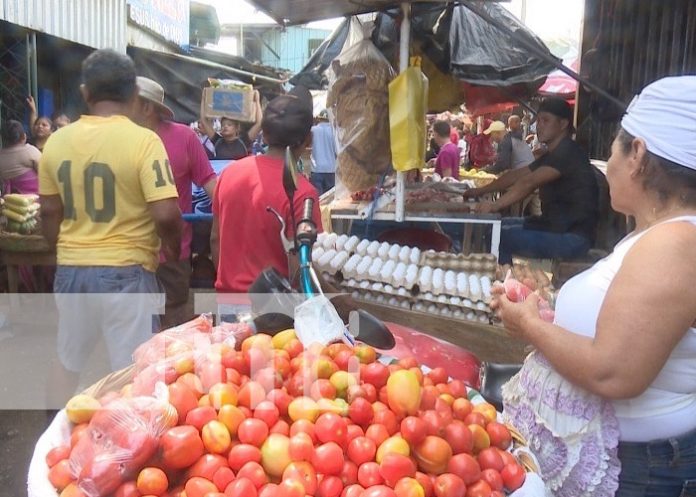 Foto: Productos de la canasta básica en Managua, Nicaragua / TN8