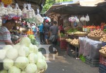 Buenas noticias a consumidores, precios estables con la canasta básica Foto: Productos de la canasta básica en Managua, Nicaragua / TN8