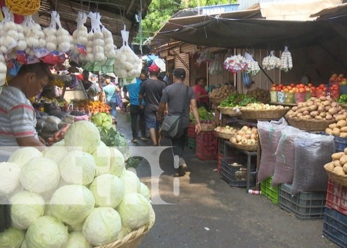 Foto: Productos de la canasta básica en Managua, Nicaragua / TN8 Foto: Productos de la canasta básica en Managua, Nicaragua / TN8