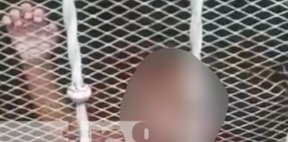 Foto: Acusación por maltrato infantil en Managua / TN8