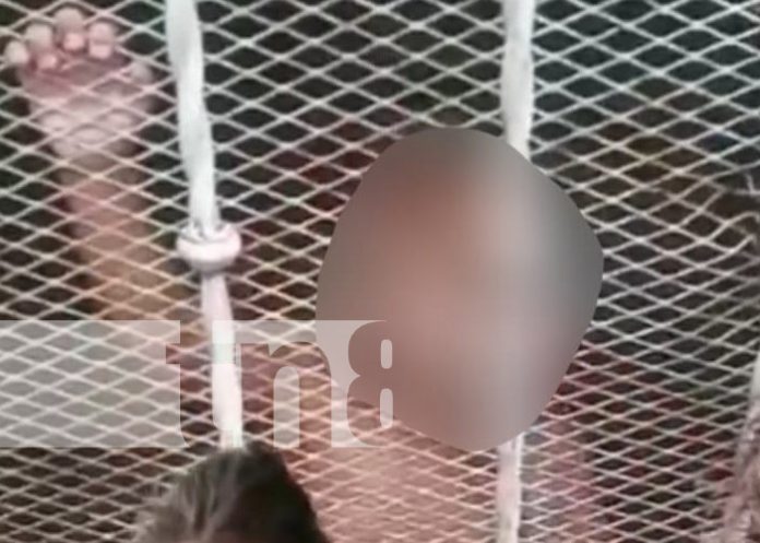Foto: Acusación por maltrato infantil en Managua / TN8 Foto: Acusación por maltrato infantil en Managua / TN8
