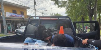Foto: Agresión y robo en sector de Multicentro Las Américas, Managua / TN8