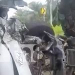 Foto: Fuerte accidente de tránsito en Kukra Hill / TN8