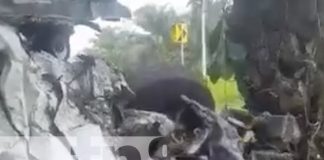 Foto: Fuerte accidente de tránsito en Kukra Hill / TN8