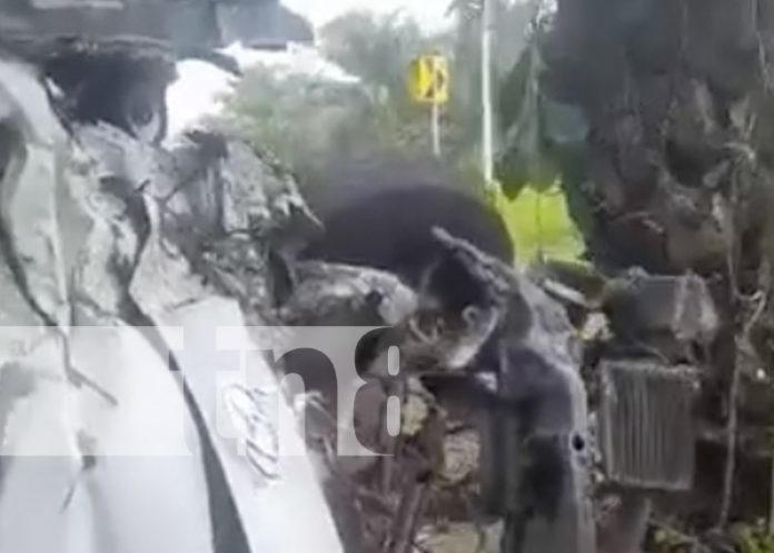 Foto: Fuerte accidente de tránsito en Kukra Hill / TN8 Foto: Fuerte accidente de tránsito en Kukra Hill / TN8