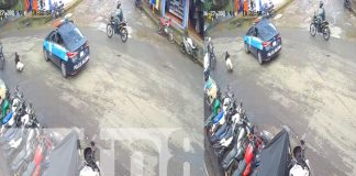 Foto: Animalada extrema en La Dalia /TN8