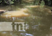 Dolor en Mulukukú: pequeño de 7 años muere arrastrado por la corriente del río Irlan Foto: Tragedia con la muerte de un niño en un río de Mulukukú / TN8