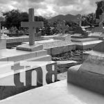 Profanación de cadáveres: 15 meses de prisión por horror en Jalapa