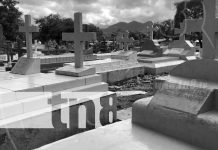 Profanación de cadáveres: 15 meses de prisión por horror en Jalapa