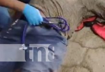 Apurado por llegar a casa, encontró la muerte en Carretera vieja a León Foto: Mortal accidente en la Carretera Vieja a León / TN8