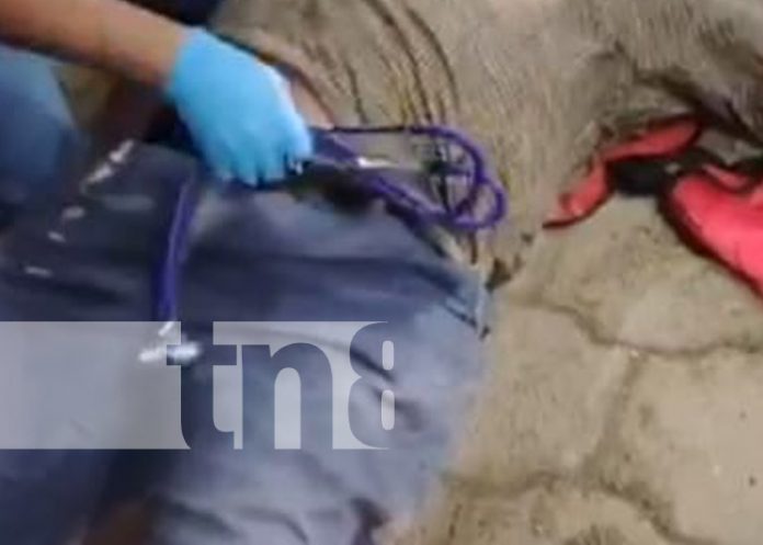 Foto: Mortal accidente en la Carretera Vieja a León / TN8