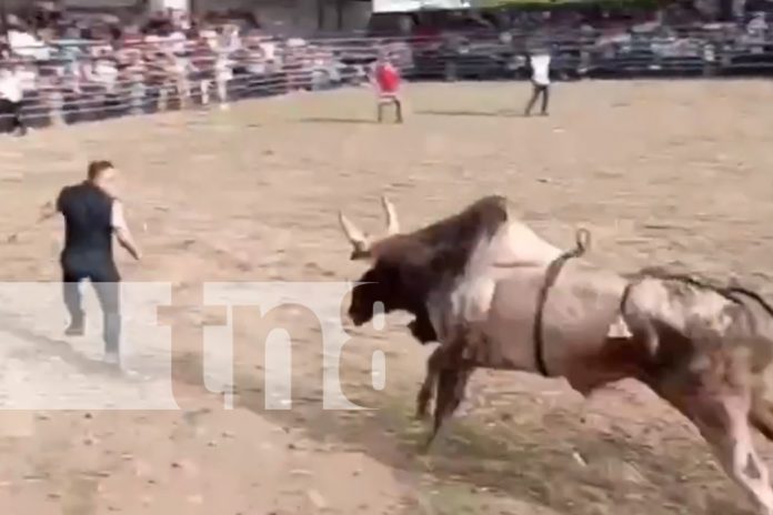 Foto: Hombre ebrio entra a la barrera y casi muere en Managua/ TN8 Foto: Hombre ebrio entra a la barrera y casi muere en Managua/ TN8