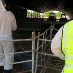 Detienen a granjero en España por dejar morir a más de 50 animales Foto: Detienen a granjero en España por dejar morir a más de 50 animales / Cortesía