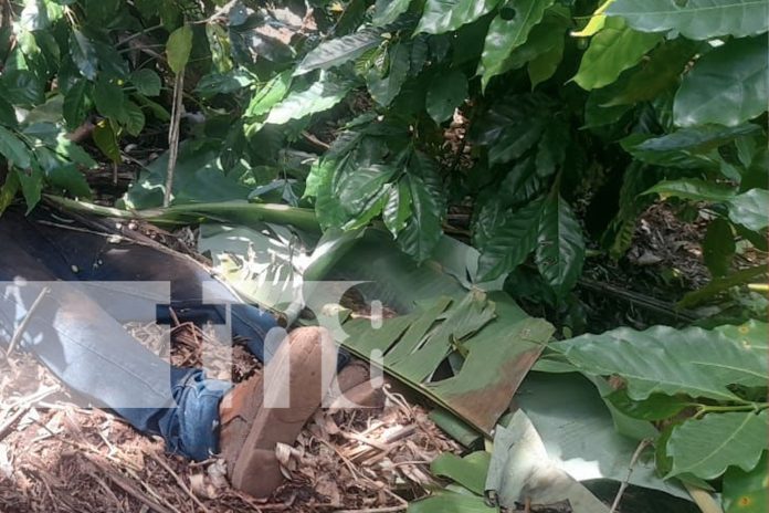 Foto: Dos asesinatos en un mes en Jinotega/ TN8 Foto: Dos asesinatos en un mes en Jinotega/ TN8