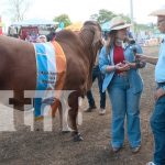 Feria Ganadera Internacional de Managua cierra con ventas récord Foto: Feria Ganadera Internacional de Managua cierra con ventas récord/TN8