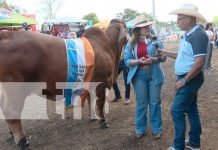 Feria Ganadera Internacional de Managua cierra con ventas récord Foto: Feria Ganadera Internacional de Managua cierra con ventas récord/TN8