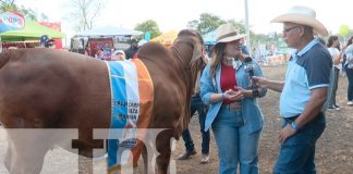 Foto: Feria Ganadera Internacional de Managua cierra con ventas récord/TN8