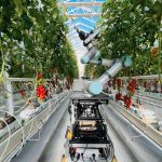 China presenta el primer robot agrícola inteligente del planeta Foto: Así es el primer robot con ciclo de cría integral en China/ Cortesía