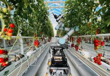 China presenta el primer robot agrícola inteligente del planeta Foto: Así es el primer robot con ciclo de cría integral en China/ Cortesía