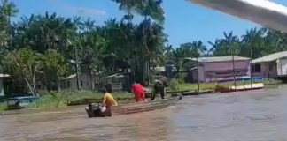 Foto: Infanticidio en Brasil /cortesía