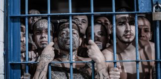 Foto:430 fallecimientos en El Salvador bajo régimen de excepción/Cortesía