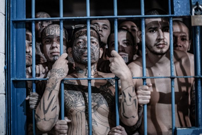 1 Foto:430 fallecimientos en El Salvador bajo régimen de excepción/Cortesía