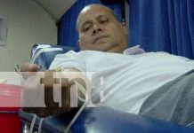 Estudiantes del American College salvan vidas en jornada de donación de sangre Foto: Estudiantes del American College se unen a la donación de sangre /TN8